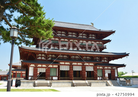 奈良・薬師寺 42750994