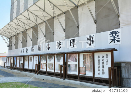 奈良・薬師寺 奈良・薬師寺 42751106