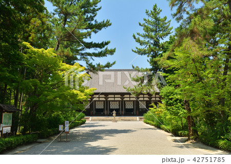 奈良・唐招提寺 奈良・唐招提寺 42751785