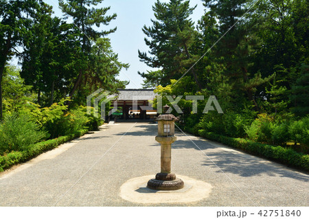 奈良・唐招提寺 奈良・唐招提寺 42751840