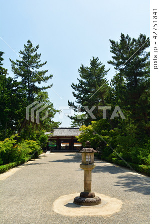 奈良・唐招提寺 42751841