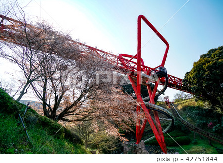 中尾城公園　桜 42751844