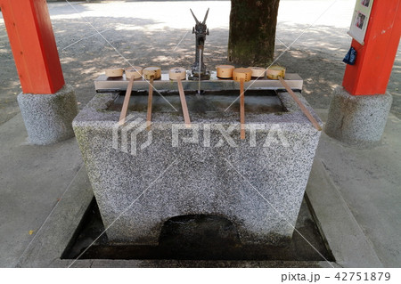 豊玉姫神社　手水舎 42751879