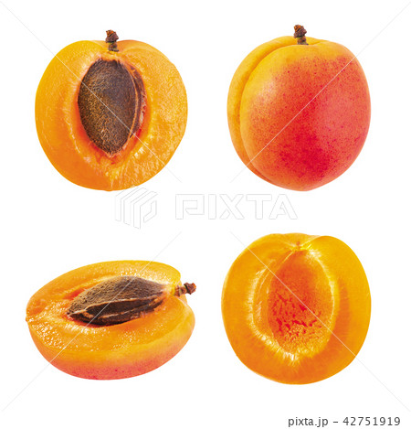 apricot apricot 42751919