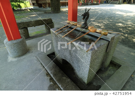 豊玉姫神社 手水舎 豊玉姫神社 手水舎 42751954
