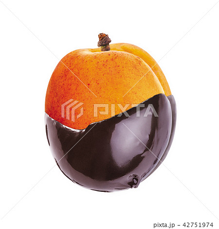 apricots in chocolate apricots in chocolate 42751974