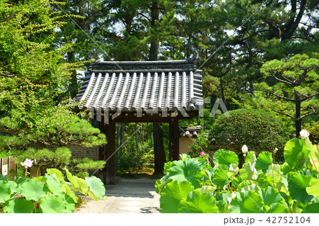 奈良・唐招提寺 奈良・唐招提寺 42752104