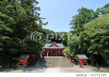 豊玉姫神社 42752194