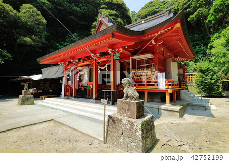 豊玉姫神社 42752199
