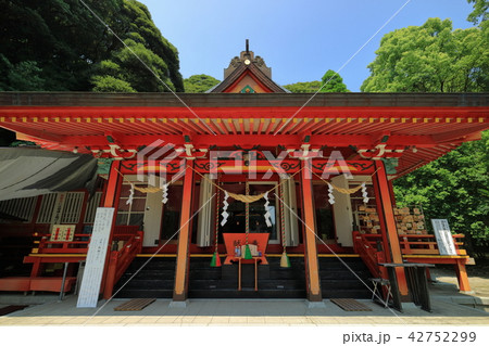 豊玉姫神社 豊玉姫神社 42752299