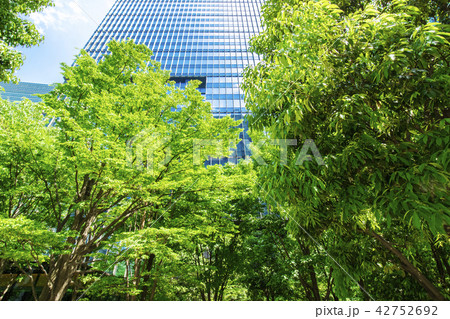 緑の多いオフィス街の風景 42752692