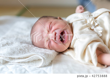泣く新生児 泣く新生児 42753888