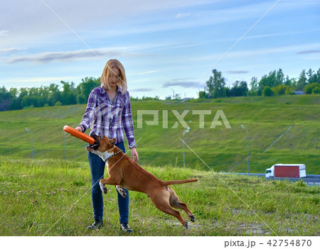 A young blonde girl is training a dog A young blonde girl is training a dog 42754870
