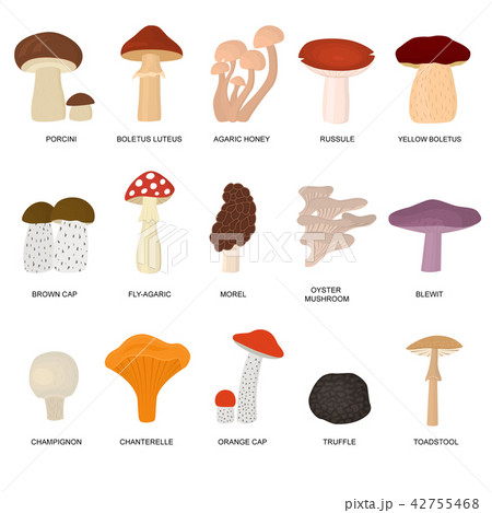 Cartoon Color Poisonous and Edible Mushrooms Set. Vector 42755468