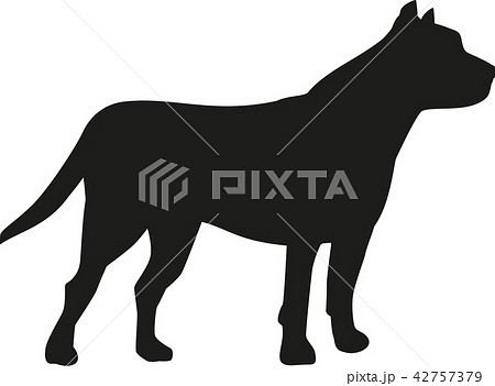 dog_pitbull_real2.eps dog_pitbull_real2.eps 42757379