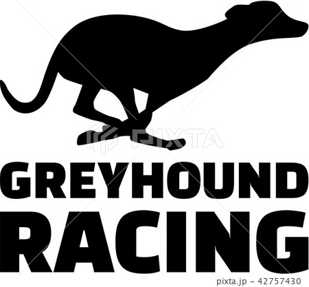 Greyhound Dog Racing 42757430