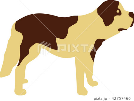 dog_saint_bernard_2c.eps 42757460