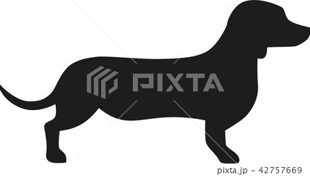 dog_sausage_real.eps 42757669