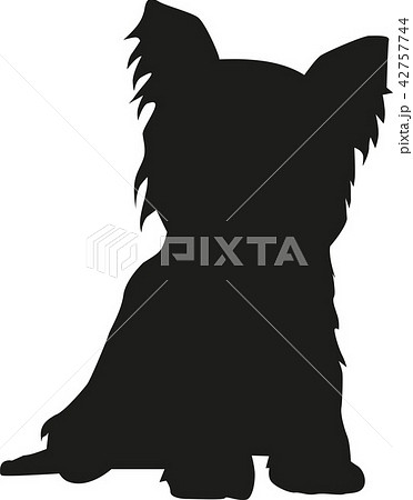 Yorkshire Terrier Sitting Silhouetteのイラスト素材