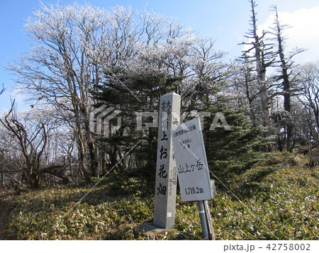 山上ヶ岳山頂 42758002