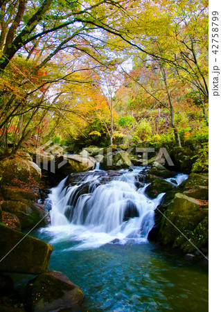 山鶏滝・やまどりたき（福島県・平田村） 42758799