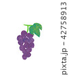 ぶどう 42758913