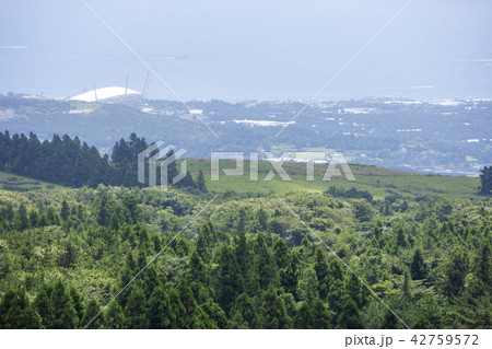 済州島 韓国 屋外 42759572