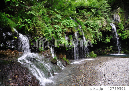 陣馬の滝 陣馬の滝 42759591