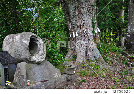 陣馬の滝 太鼓石 陣馬の滝 太鼓石 42759629
