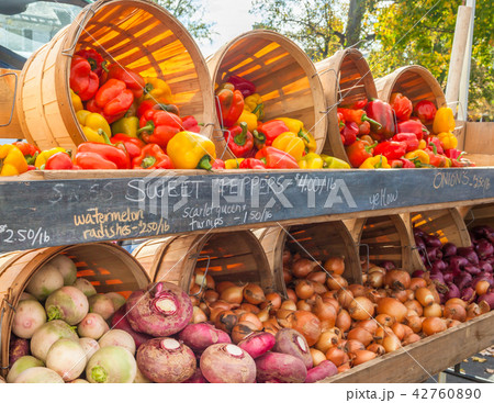 アメリカの市場で売られている野菜 アメリカの市場で売られている野菜 42760890