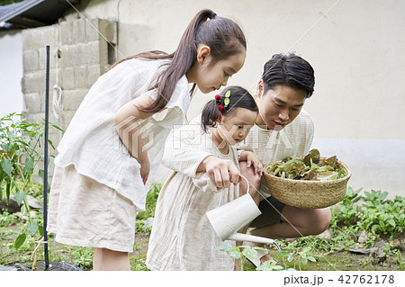 家族 ファミリー お父さん 42762178