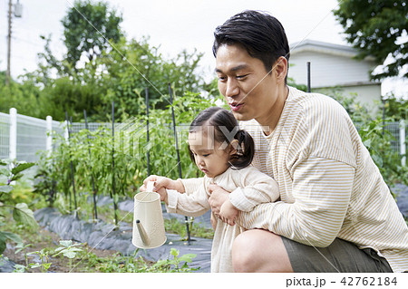 娘 お父さん 父 42762184