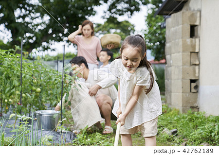 家族 ファミリー 子供 42762189