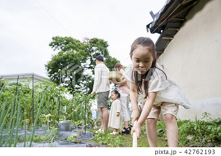 家族 ファミリー 子供 42762193