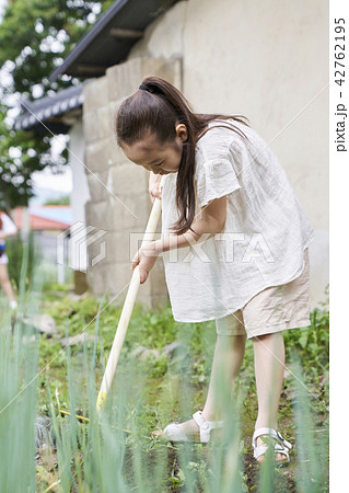 熊手 子供 女性 42762195