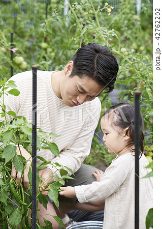 家族 ファミリー 娘 42762202