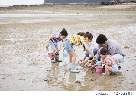 家族 ファミリー 海 42762389