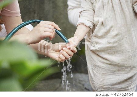 手 洗浄 洗い 42762454