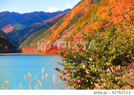 紅葉と湖の風景3 紅葉と湖の風景3 42762513