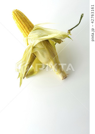 トウモロコシ 42763161