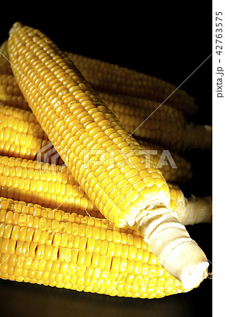とうもろこし 42763575