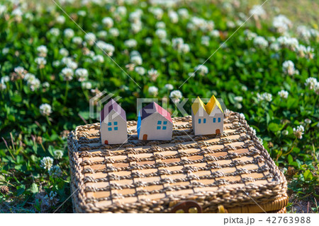 春 スナップ 春 スナップ 42763988