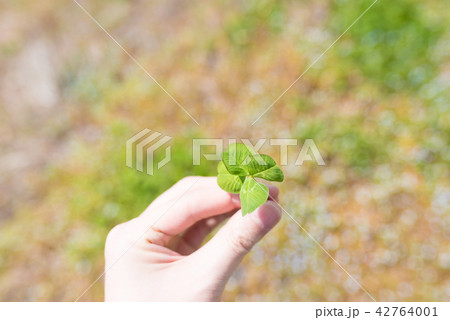 春 スナップ 春 スナップ 42764001