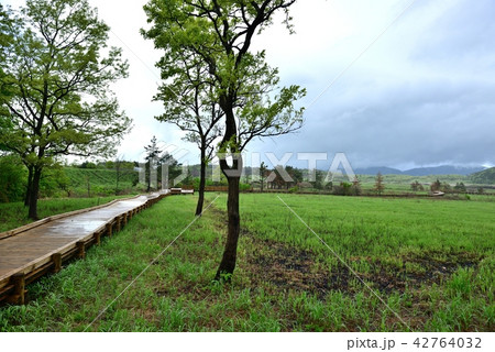 雨上がりの公園の情景 雨上がりの公園の情景 42764032