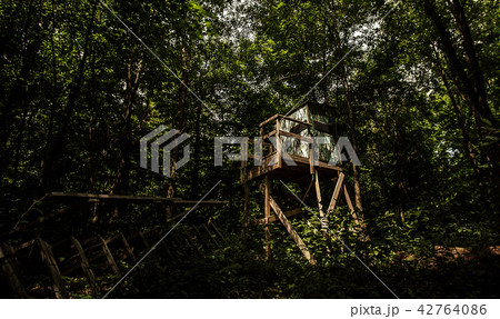 A Secluded Hunting Blind In The Woods 42764086