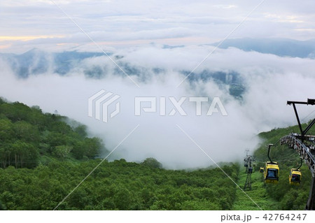 北海道　トマムの雲海 42764247