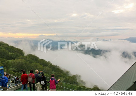 北海道 トマムの雲海 北海道 トマムの雲海 42764248