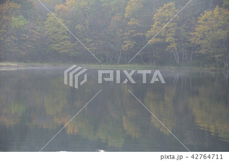 薄霧わく紅葉の湖 薄霧わく紅葉の湖 42764711