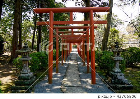 玖島稲荷神社 大村公園 玖島稲荷神社 大村公園 42766806