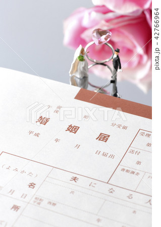 婚姻届とピンクの薔薇 42766964
